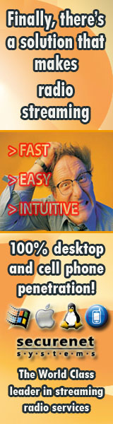 Securenet Systems - Hosting, Design, Programming, E-Commerce